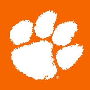College Details Name