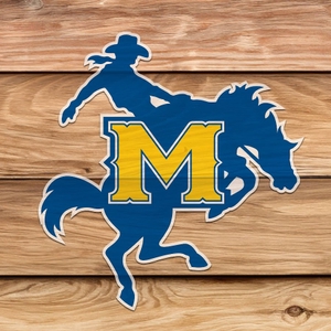 College Details Name