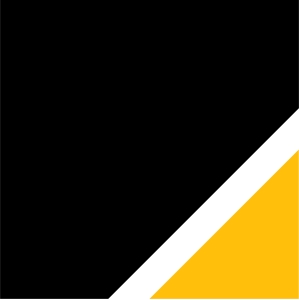 CollegedetailsName