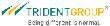Trident Ltd